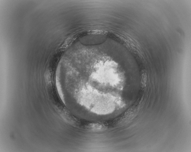 X0000115340272200912141246