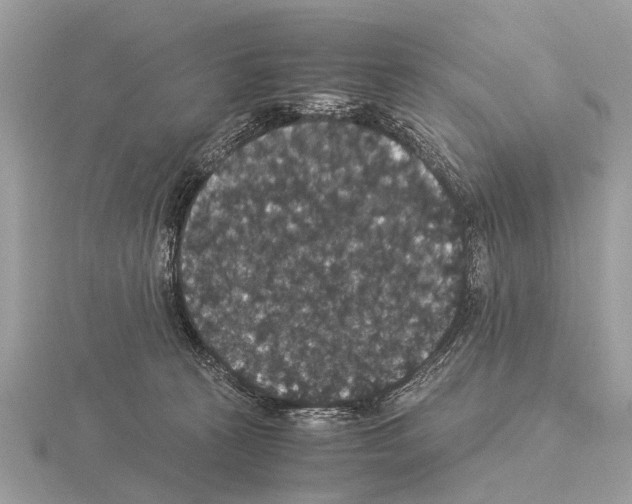 X0000115340273200912141246