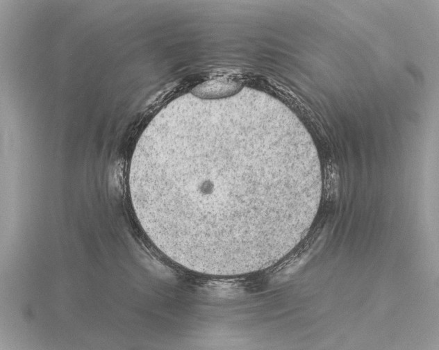 X0000115340280200912141246