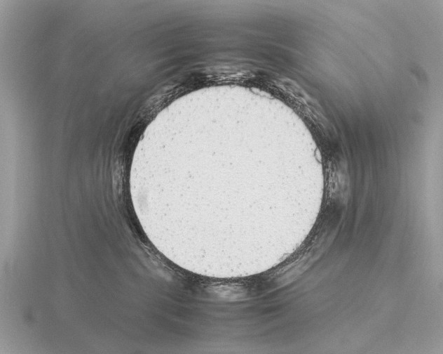 X0000115340283200912141246