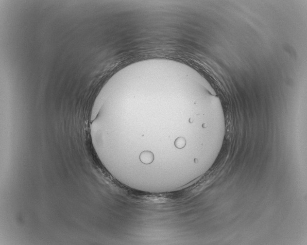 X0000115340284200912141246