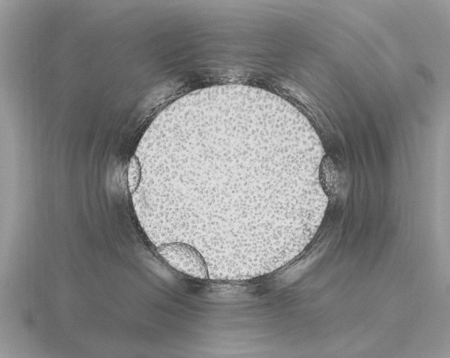 X0000115340286200912141246