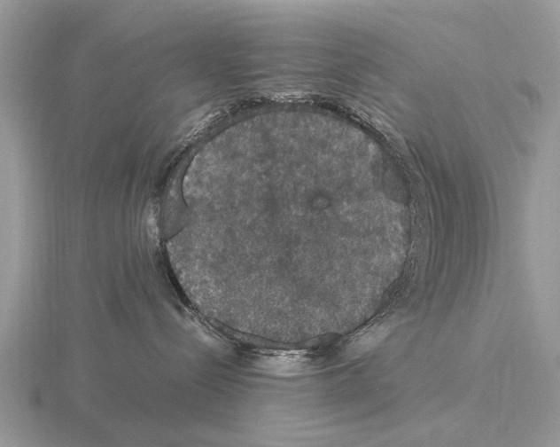 X0000115340288200912141246