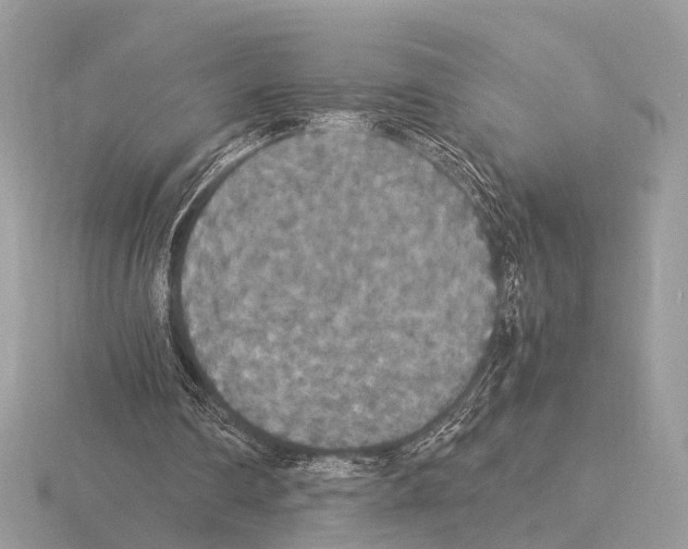 X0000115340290200912141245