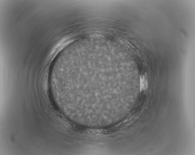 X0000115340291200912141245