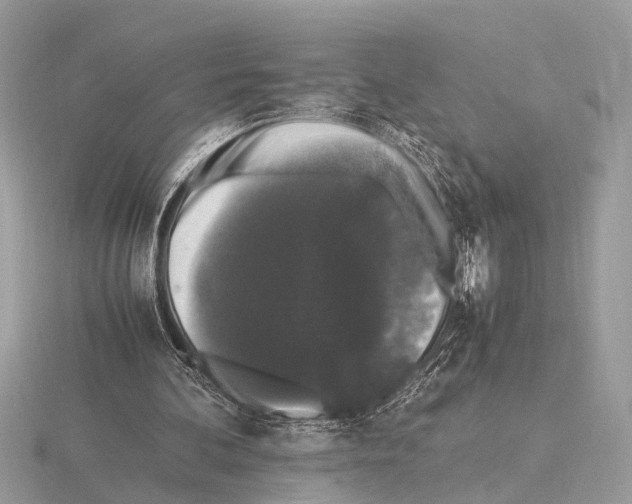 X0000115340292200912141245