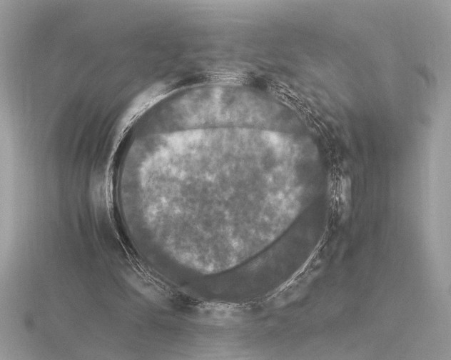 X0000115340294200912141245