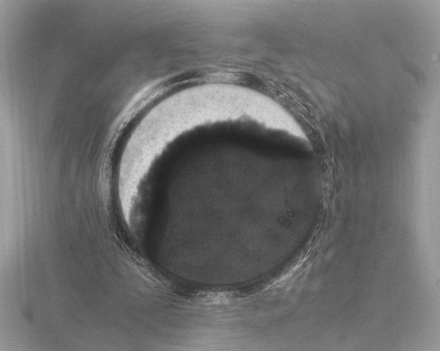 X0000115340295200912141245