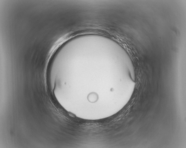 X0000115340296200912141245