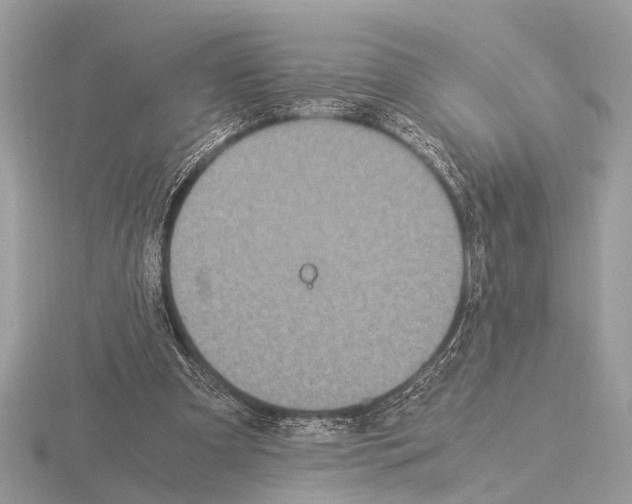 X0000115340297200912141245