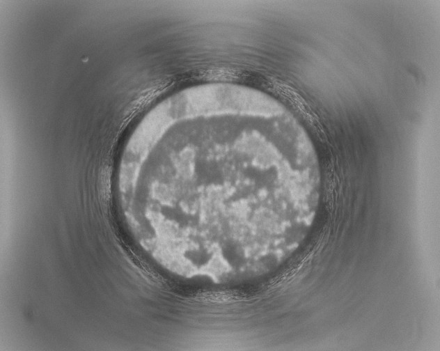 X0000115340299200912141245