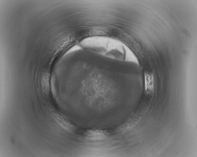 X0000115340300200912141245