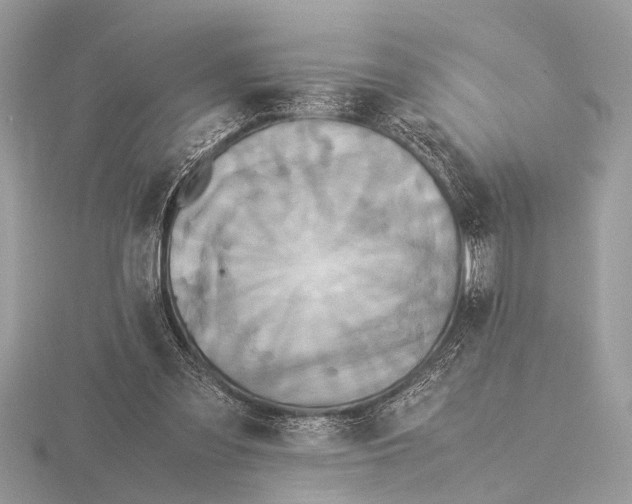 X0000115340301200912141245