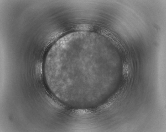 X0000115340302200912141245