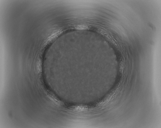 X0000115340303200912141245