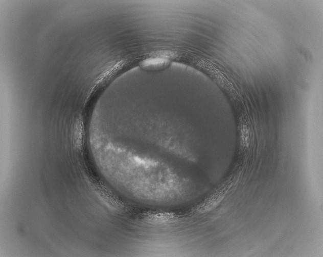 X0000115340304200912141245