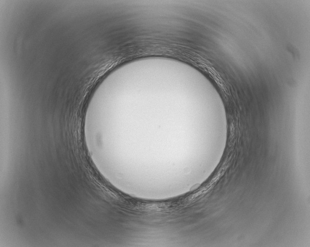 X0000115340305200912141245