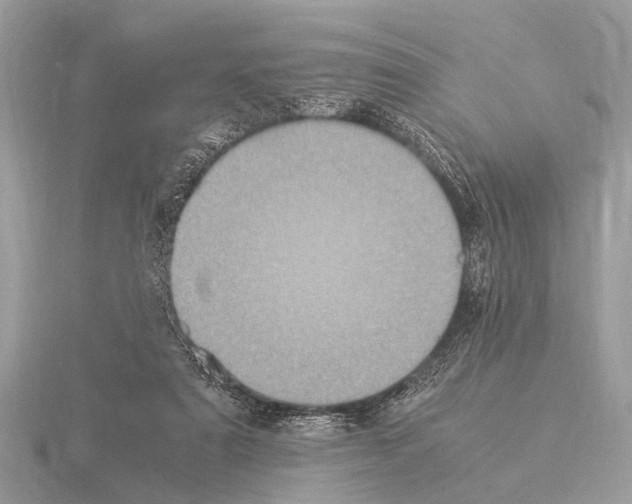 X0000115340307200912141245