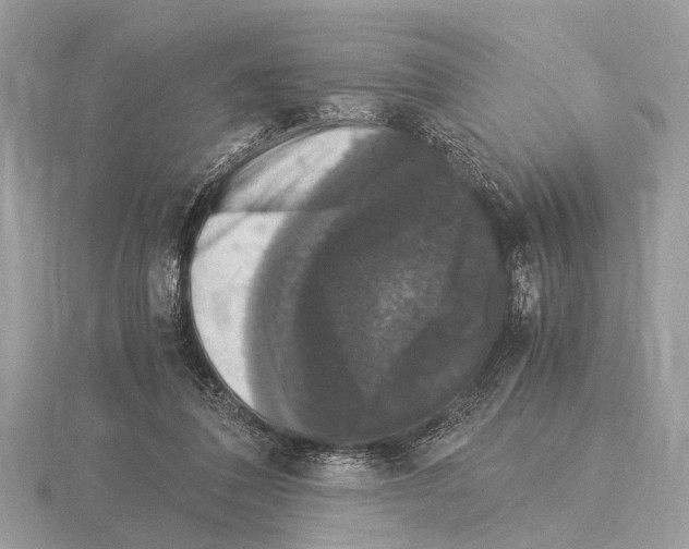 X0000115340308200912141245