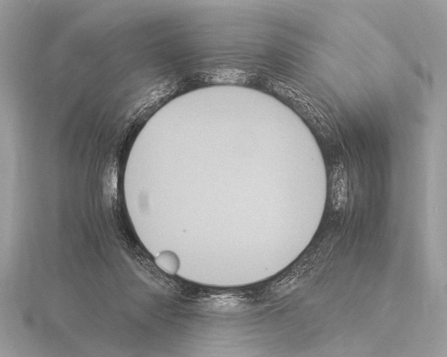 X0000115340310200912141245