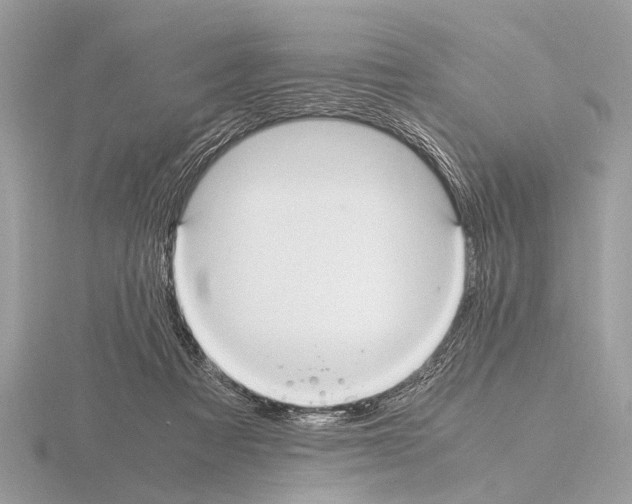 X0000115340313200912141245