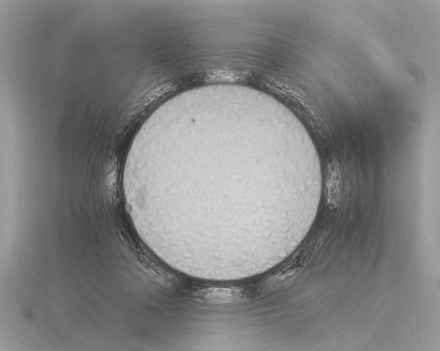 X0000115340314200912141245