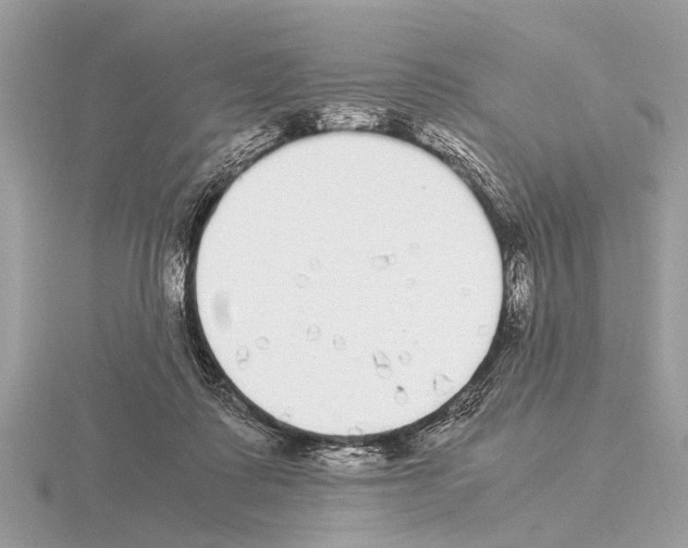 X0000115340315200912141245