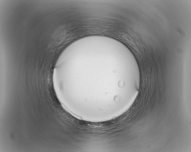 X0000115340317200912141245