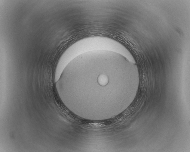 X0000115340320200912141245