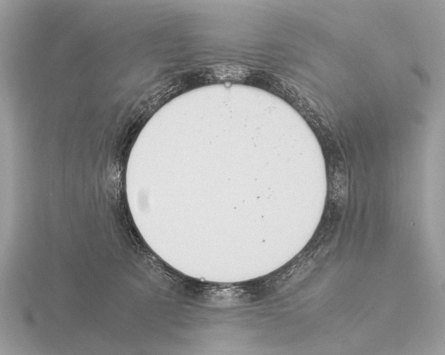 X0000115340321200912141245