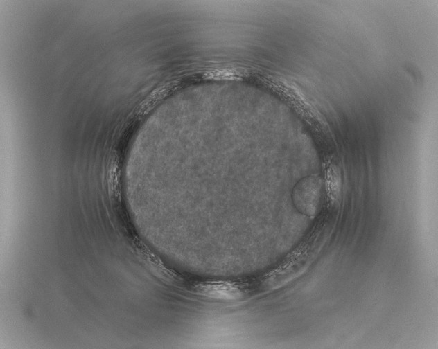 X0000115340322200912141245