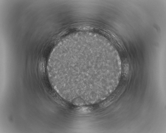 X0000115340326200912141245