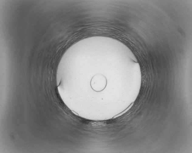 X0000115340327200912141245