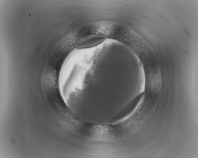 X0000115340328200912141245