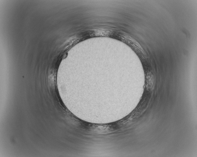 X0000115340329200912141245