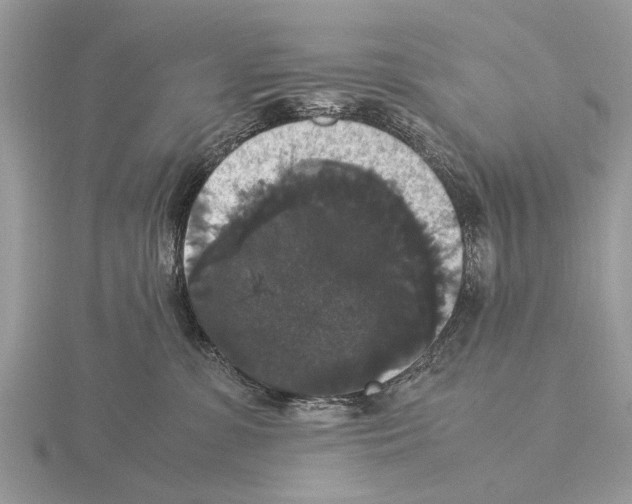 X0000115340331200912141245