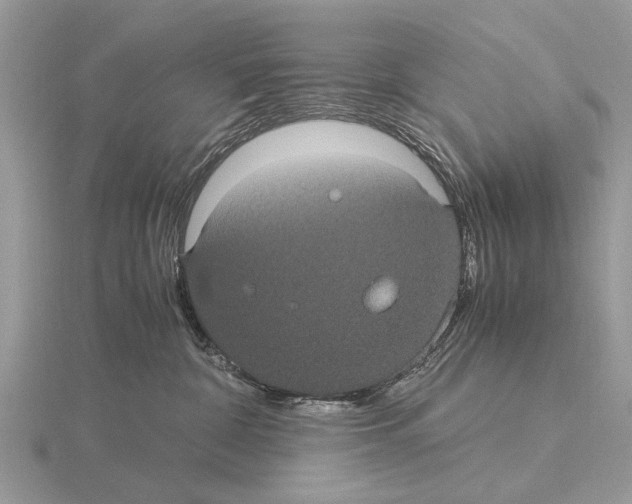 X0000115340332200912141245