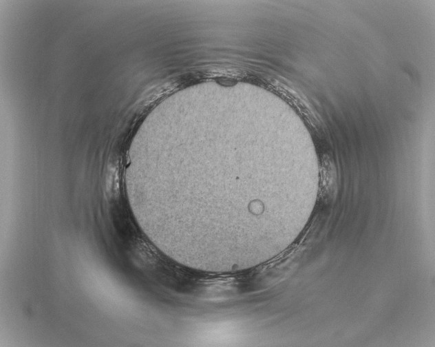 X0000115340333200912141245