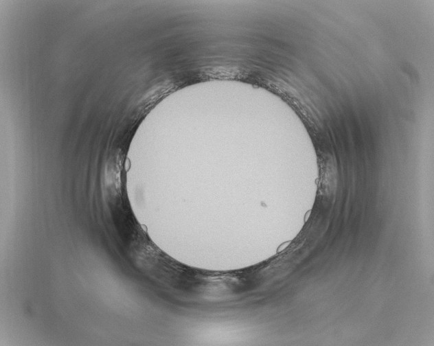 X0000115340334200912141245