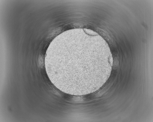 X0000115340335200912141245