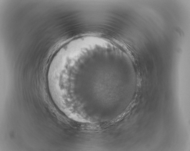 X0000115340337200912141244