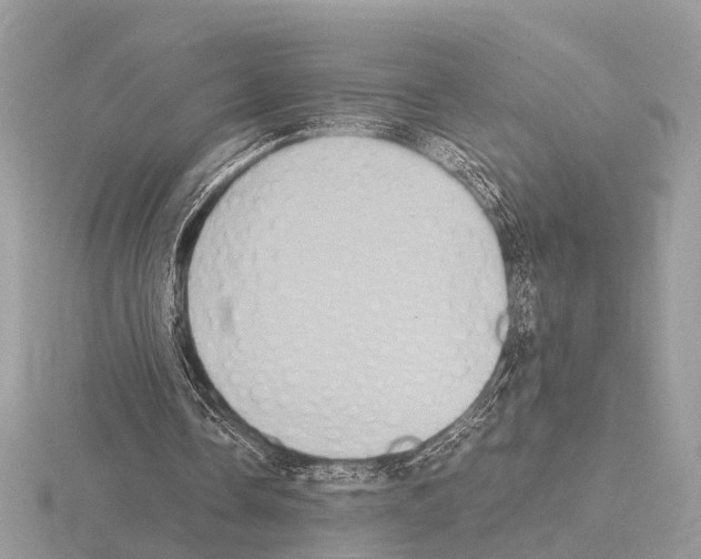 X0000115340338200912141244