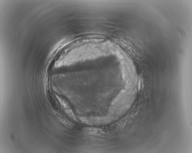 X0000115340339200912141244