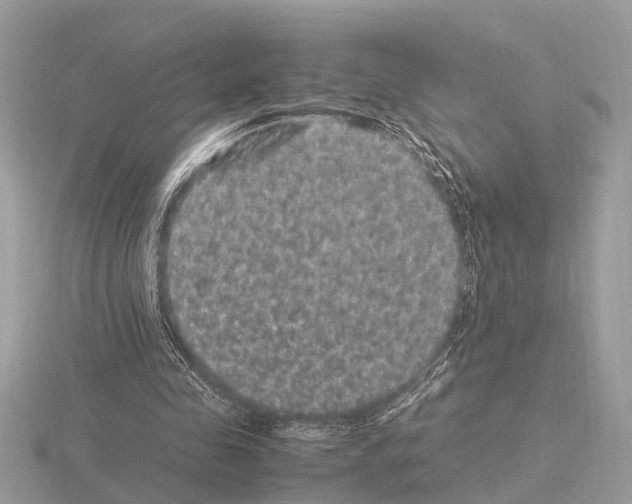 X0000115340341200912141244