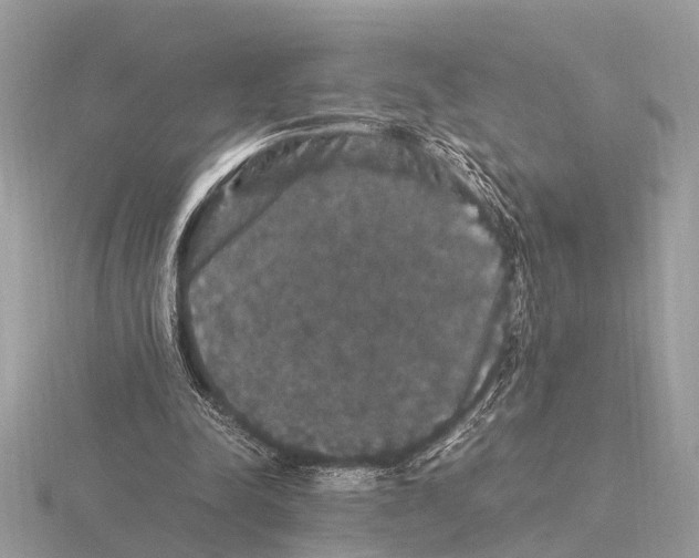 X0000115340342200912141244