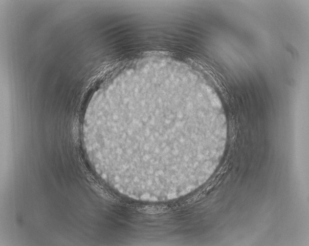 X0000115340345200912141244