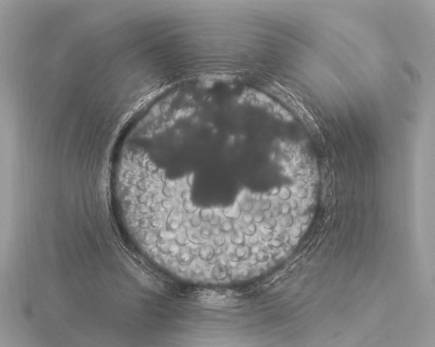 X0000115340346200912141244