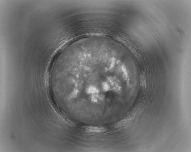 X0000115340347200912141244