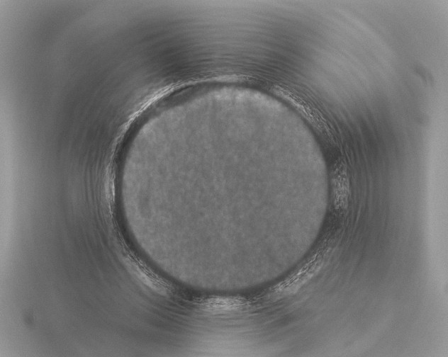 X0000115340350200912141244