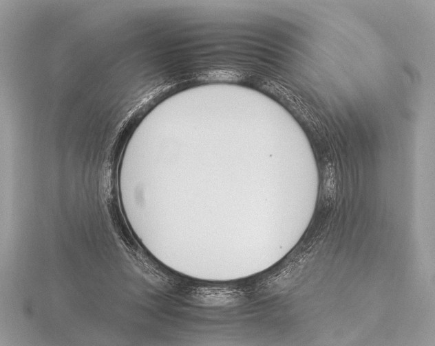 X0000115340351200912141244